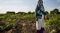 AFRIQUE : entre aléas climatiques et solutions écolos, la femme au cœur des ODD©JonathanJonesCreate/Shutterstock
