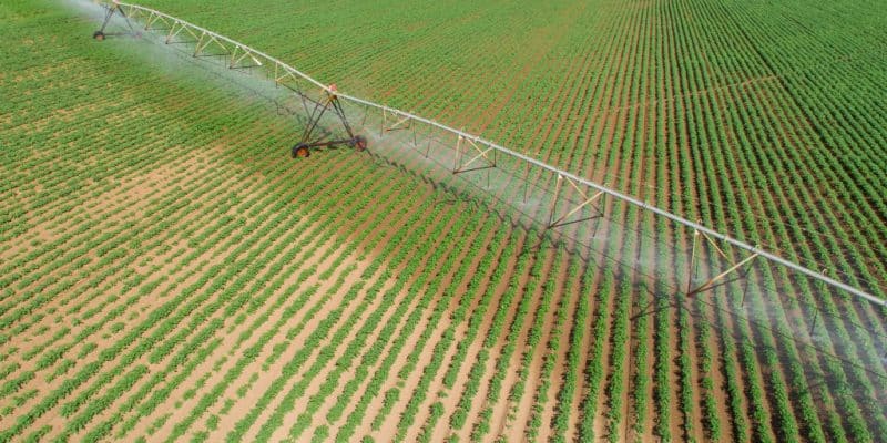 NAMIBIA: Phase II of the ǁKaras irrigation project is launched©Brastock/Shutterstock