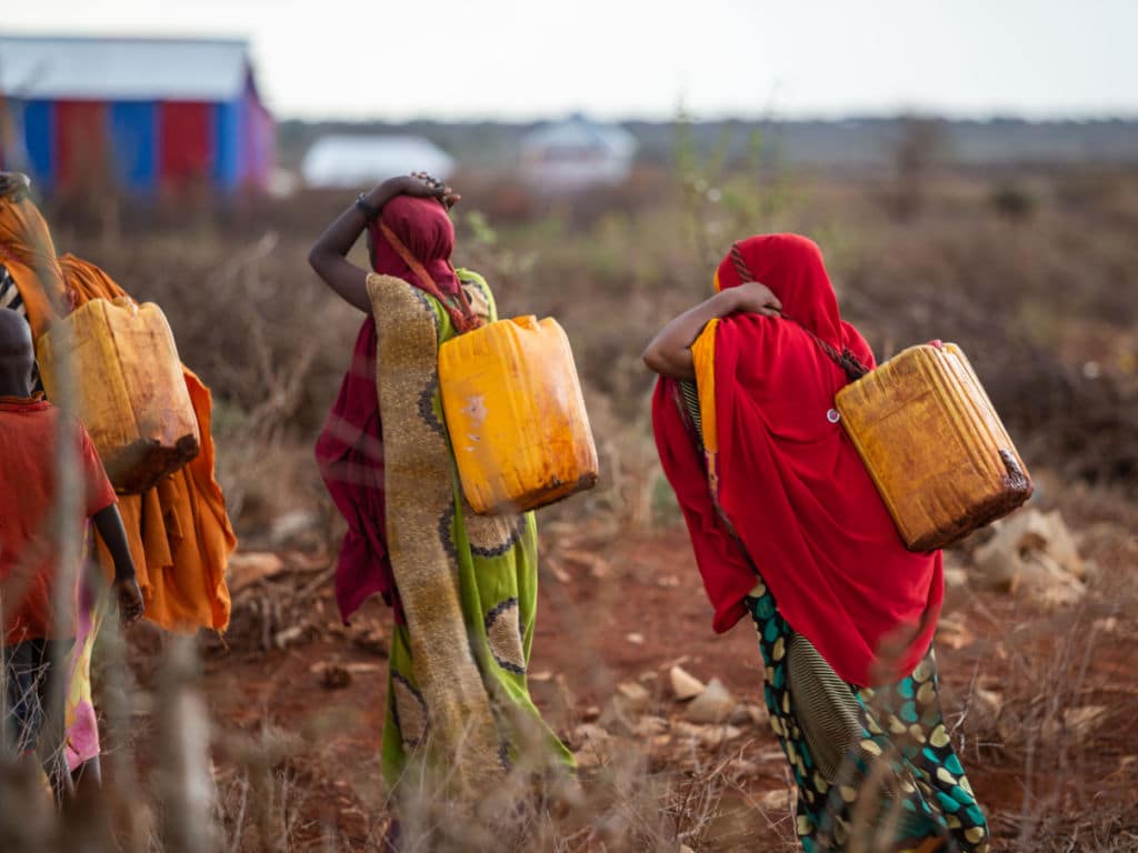 AFRIQUE : le top 10 des pays les plus touchés par l’insécurité hydrique ©sntes/Shutterstock