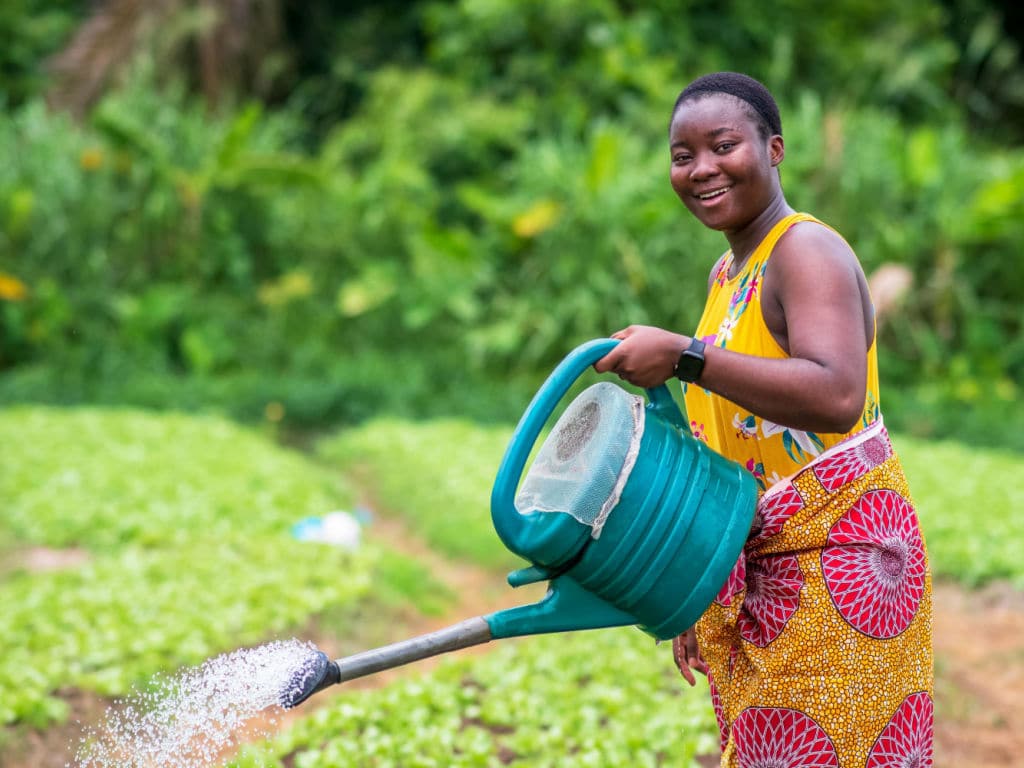 AFRIQUE : le Seed lance un appel à projets pour financer la résilience climatique ©Yaw Niel/Shutterstock