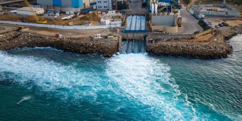 ALGÉRIE : une nouvelle agence soutiendra la politique nationale de dessalement ©Luciano Santandreu/Shutterstock