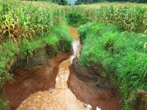 AFRICA: rainwater harvesting and aquifer recharge in the face of water stress ©KAMONRAT/Shutterstock 