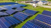 NIGERIA: UEF to subsidise solarisation of 3,500 small businesses © Bilanol/Shutterstock