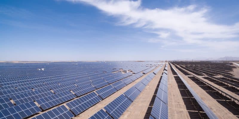 ALGÉRIE : la Sonelgaz lance un appel d’offres pour 15 centrales solaires de 2 000 MWc© lightrain/Shutterstock