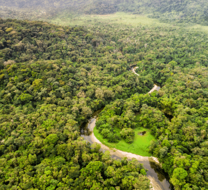 CONGO : sommet des trois grands bassins forestiers de la planète, prévu en juin 2023 ©Gustavo FrazaoShutterstock