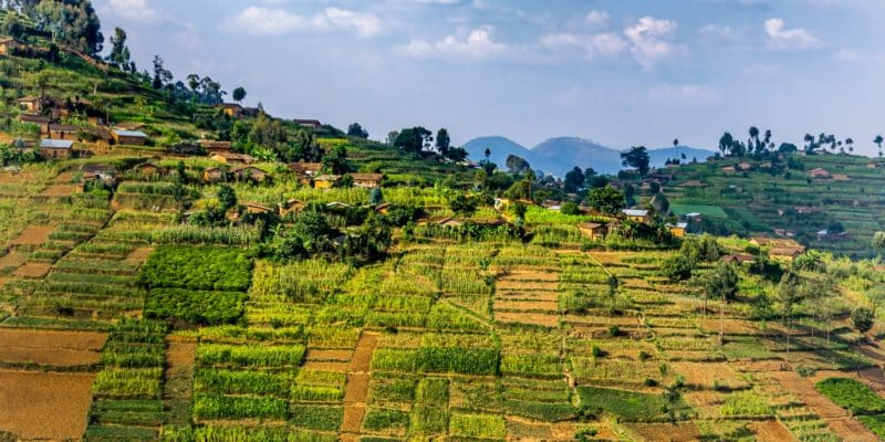 AFRIQUE : le FEM injecte 13 M$ dans le fonds AGRI3 pour l’agriculture durable © Tetyana Dotsenko/Shutterstock
