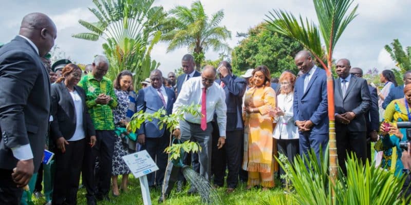 Ivory Coast: Daloa to Abidjan, 100,000 hectares of land will be reforested per year©Government of Ivory Coast