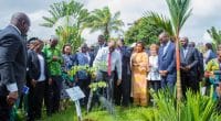 CÔTE D’IVOIRE : de Daloa à Abidjan, 100 000 hectares de terres seront reboisés par an ©Gouvernement de Côte d’Ivoire