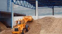 TOGO : l’État encadre l’exportation des déchets de biomasse avec une nouvelle mesure ©Tricky_Shark/Shutterstock