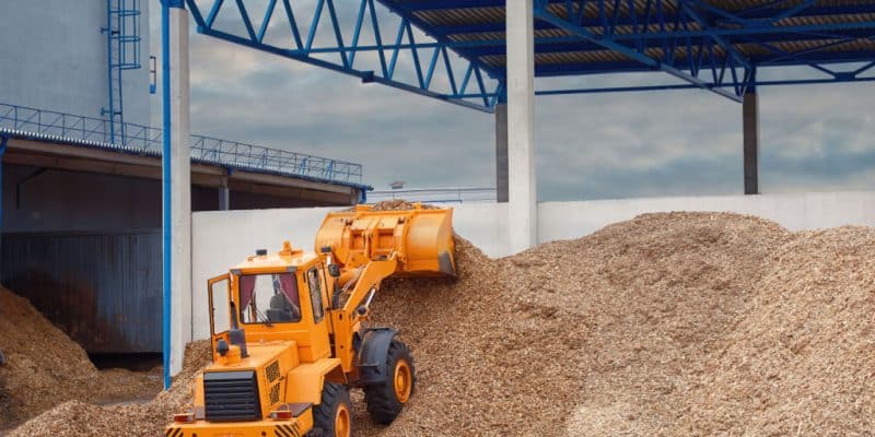 TOGO : l’État encadre l’exportation des déchets de biomasse avec une nouvelle mesure ©Tricky_Shark/Shutterstock