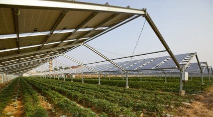 SENEGAL: a photovoltaic solar power plant for sustainable agriculture in Saint-Louis© Jenson/Shutterstock