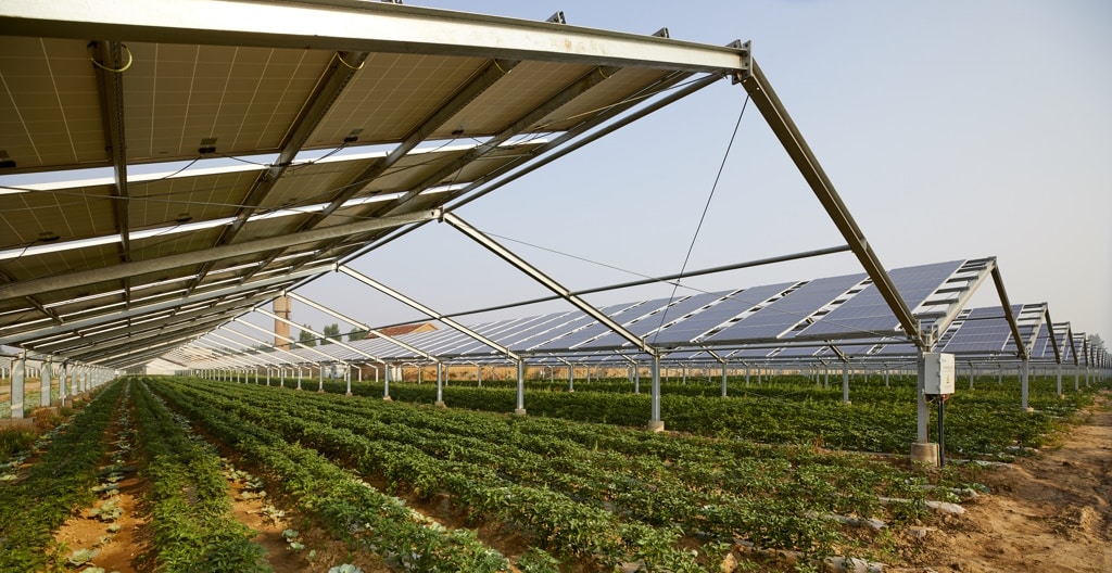 SENEGAL: a photovoltaic solar power plant for sustainable agriculture in Saint-Louis© Jenson/Shutterstock