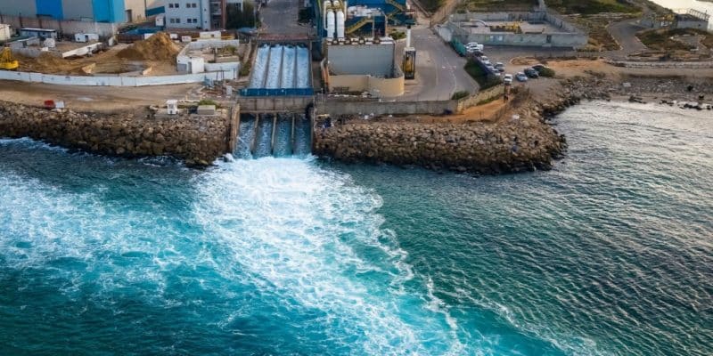 EGYPT: Some 50 companies shortlisted for water desalination©Luciano Santandreu/Shutterstock