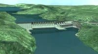 MOZAMBIQUE: EDF and TotalEnergies qualify for the Mphanda Nkuwa dam ©MPT