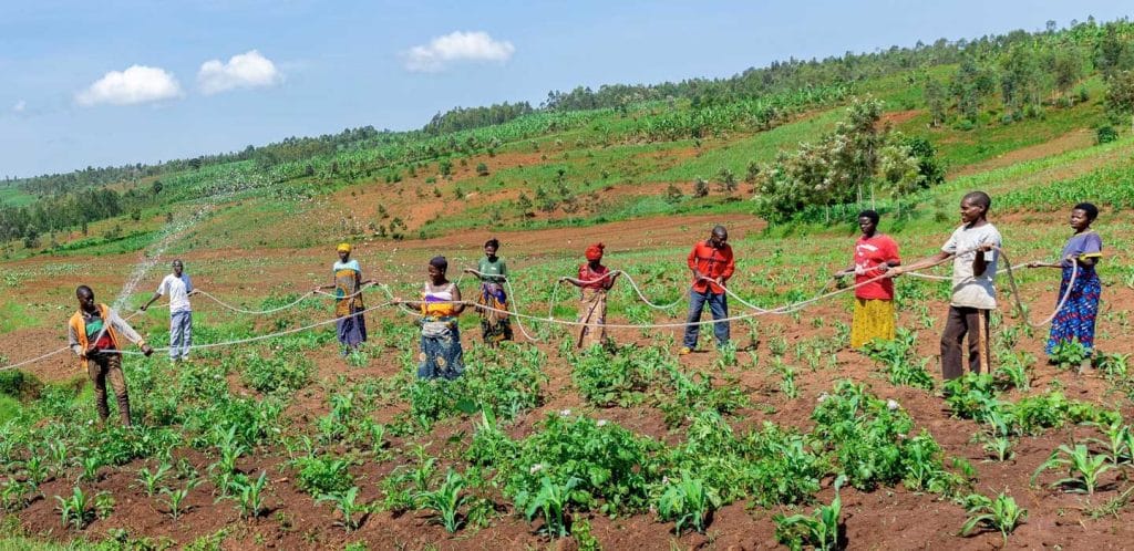 MADAGASCAR : un financement de 227 M$ pour l’agriculture durable face au climat © FIDA