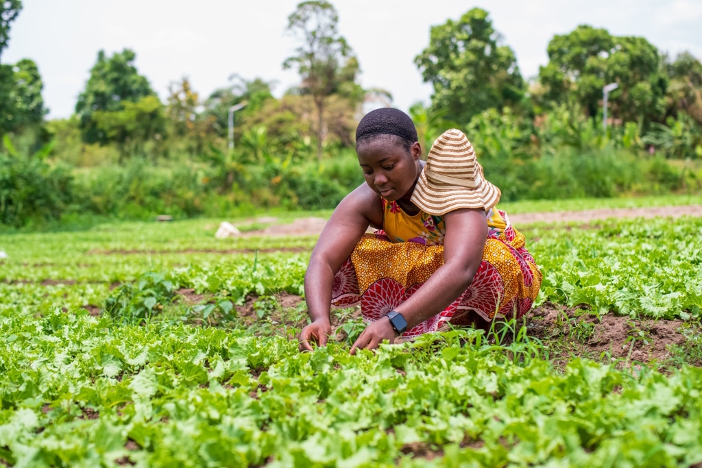 AFRICA: restoring degraded land and drought - what role for women? ©Yaw Niel /Shutterstock