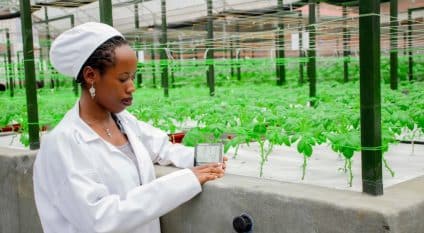 RWANDA: a climate-smart farming solution in Musanze ©UN WOMEN©UN WOMEN