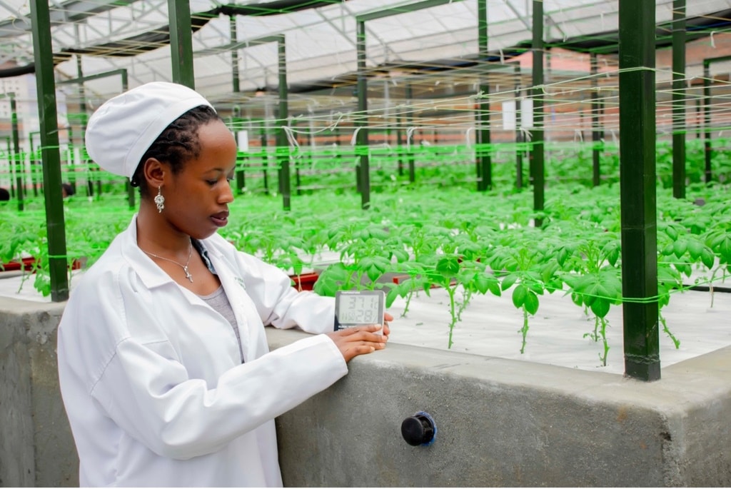 RWANDA : à Musanze, une solution d’agriculture intelligente face au climat ©Onu Femmes