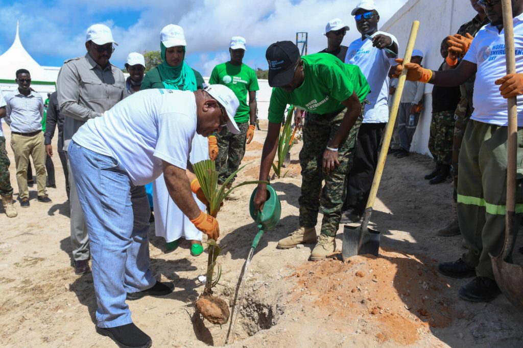 SOMALIA: ATMIS to plant 30,000 trees to green the country by December 2024©ATMIS