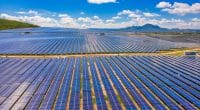 ANGOLA: US Exim Bank releases a record $900m for two solar power plants ©Nguyen Quang Ngoc Tonkin /Shutterstock