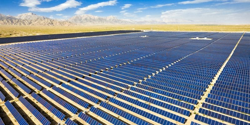 ÉGYPTE : le chinois LONGi va équiper la centrale solaire de Kom Ombo de 200 MWc ©Jenson/Shutterstock