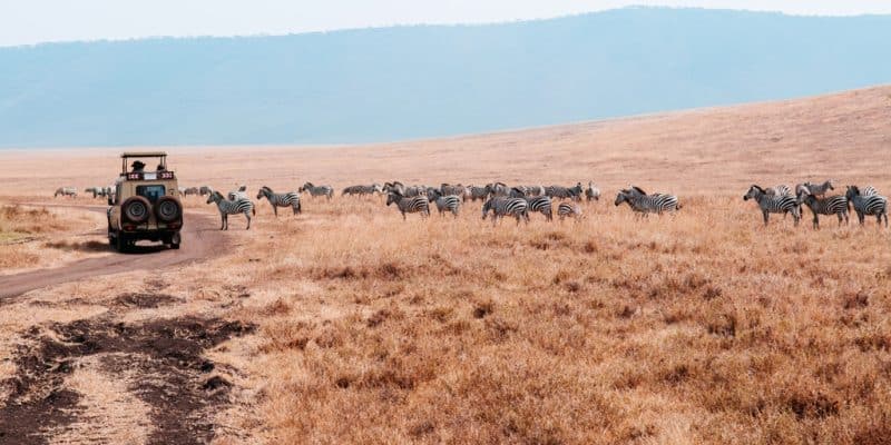 ZAMBIE : un financement de 100 M$ pour le développement du tourisme durable© PixHound/Shutterstock