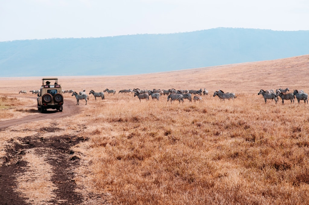 ZAMBIE : un financement de 100 M$ pour le développement du tourisme durable© PixHound/Shutterstock