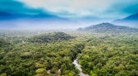 AFRIQUE CENTRALE : quel financement pour les forêts du bassin du Congo ? ©Gustavo Frazao /Shutterstock