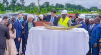 IVORY COAST: Biovea biomass plant under construction with a €35m loan from EAIF © Biovea Energie