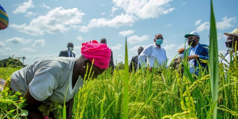 IVORY COAST: $9 million from the GCF to help women adapt to climate change © Government of Côte d'Ivoire