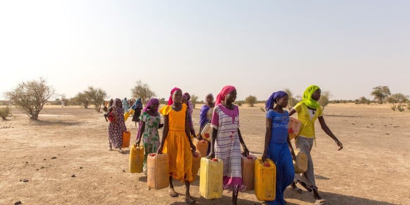 AFRIQUE DE L’EST : la sècheresse affame plus de 43 millions de personnes© Amors photos Shutterstock