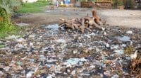 TOGO: Solid waste management awareness campaign in Lomé©godongphoto/Shutterstock