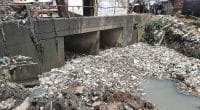 CAMEROUN : une Régie de propreté urbaine à Douala pour soutenir la gestion des déchets ©Mairie de Douala