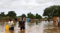 GUINÉE : à 50 km de Conakry, familles, bétail et infrastructures sous les eaux ©HCR