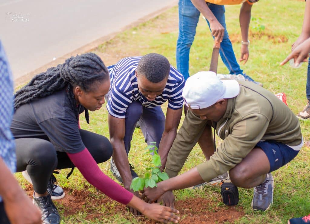 TOGO: 800 trees planted in Lomé as part of a reforestation campaign ©ICC-TOGO