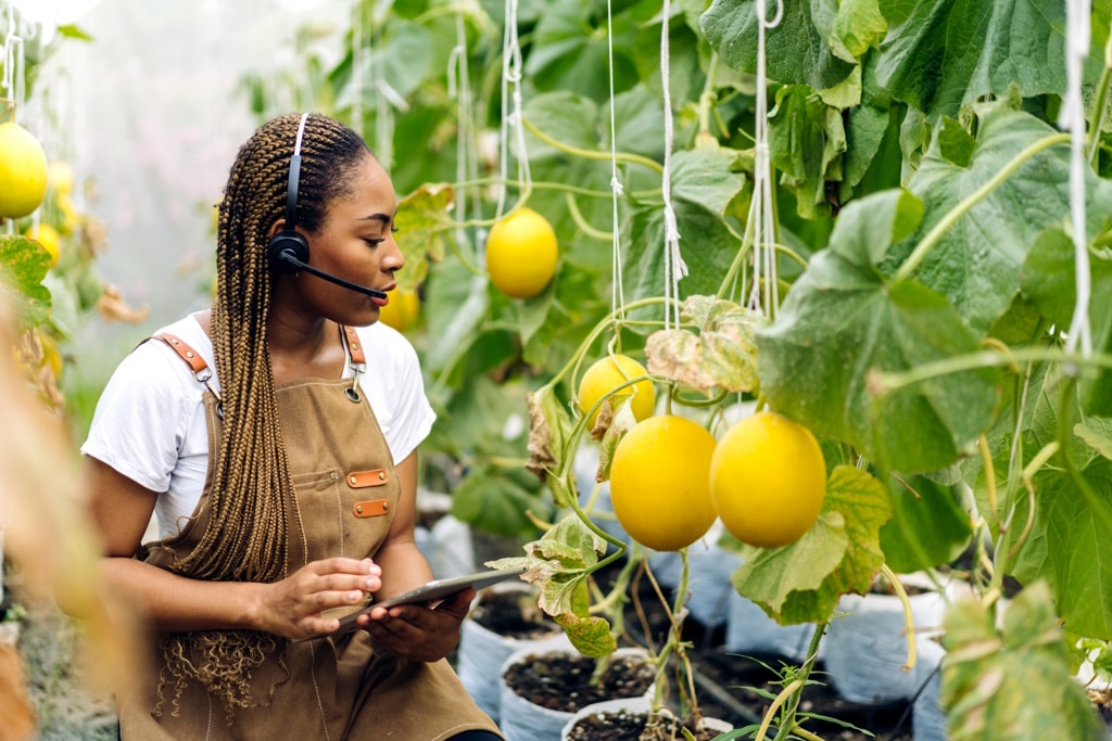 CAMEROON: the World Bank finances the digitisation of the agricultural sector ©Art_Photo /Shutterstock