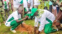 BURKINA FASO : Tree Aid plantera 1,5 million d’arbres pour reverdir le pays ©Ministère burkinabé de l'Environnement