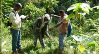 BÉNIN : le Pnud et le FEM allouent 8,6 M€ à la restauration des terres dans 8 communes©ONU