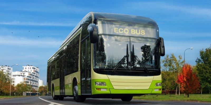 KENYA: BasiGo launches its new "E9 Kubwa" electric bus model © K.Sorokin/Shutterstock