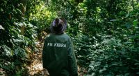© PN KIBIRA BURUNDI : vers la protection de la biodiversité autour de Kibira et Rusizi