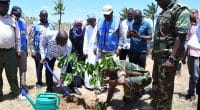 KENYA : 100 000 arbres seront plantés pour restaurer le bassin de la rivière Mwache ©Ministère kenyan de l’Eau