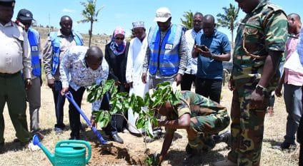KENYA: 100,000 trees to be planted to restore the Mwache river basin©Kenyan Ministry of Water
