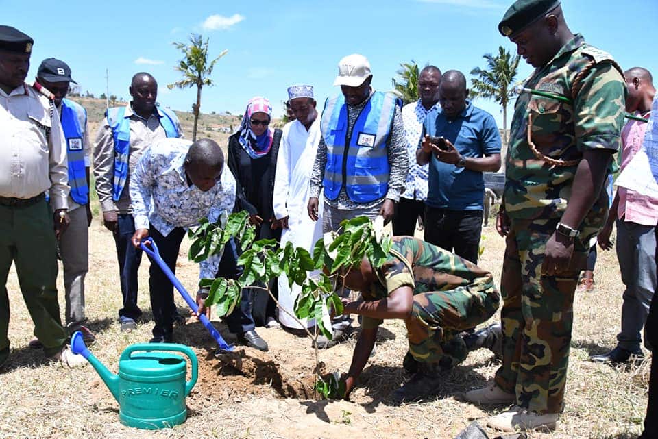 KENYA: 100,000 trees to be planted to restore the Mwache river basin©Kenyan Ministry of Water