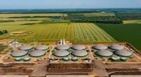 ALGÉRIE : Séoul soutiendra la valorisation des déchets en biogaz à Alger ©Terelyuk/Shutterstock