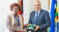 KENYA: Egyptian expertise to improve access to water in the face of drought©Kenyan Ministry of Water