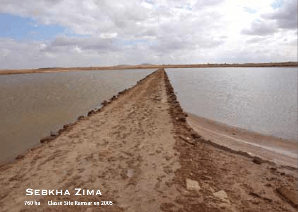MOROCCO: studies underway to develop the Sebkha Zima wetland ©UNESCO