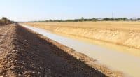 MAURITANIE : le réseau d’irrigation de Rosso étendu pour la desserte des agriculteurs ©kaninw/Shutterstock