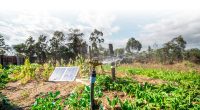 KENYA: SunCulture receives funding for solar irrigation and agricultural innovation©SunCulture