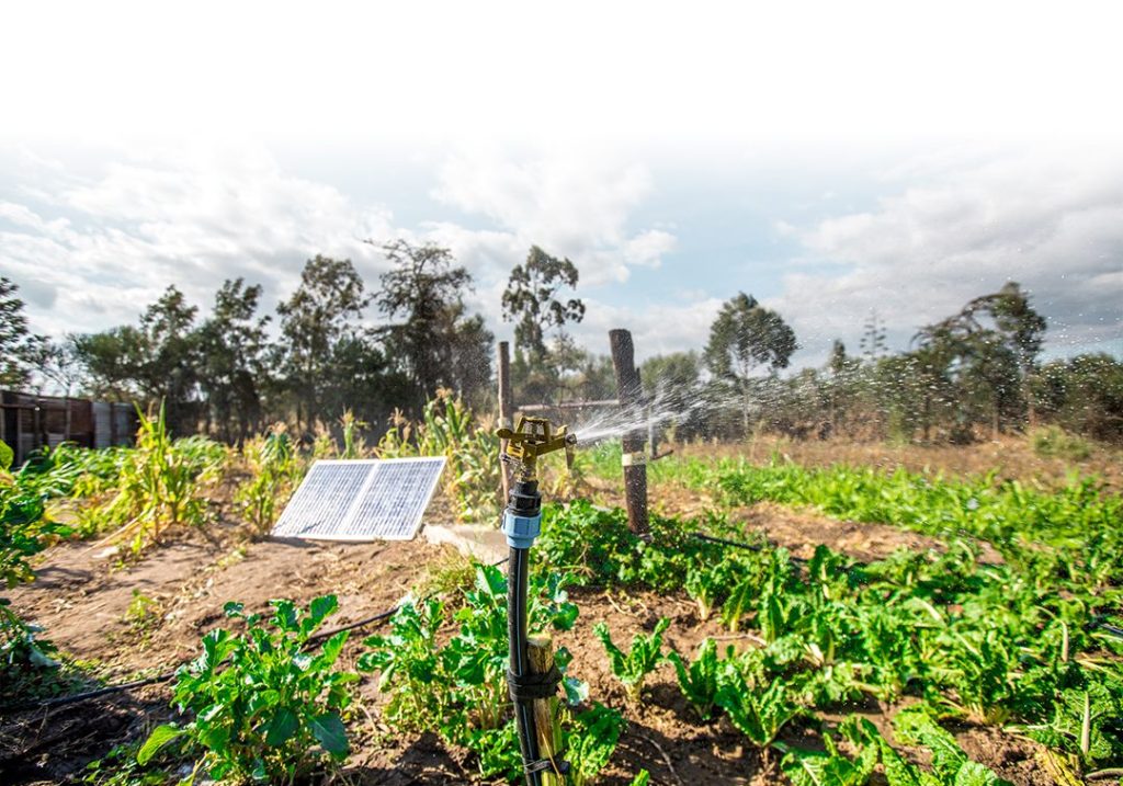 KENYA : SunCulture reçoit des fonds pour l’irrigation solaire et l’innovation agricole©SunCulture