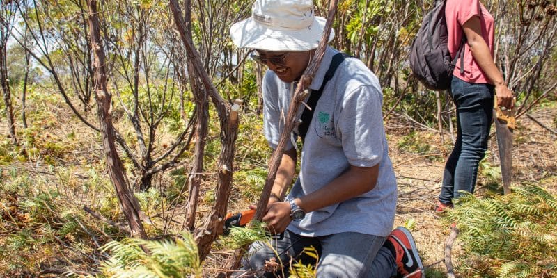 AFRIQUE : l’AFD honore sa promesse de financer 27 initiatives vertes à hauteur de 23 M€ © association Cœur de forêt-Madagascar